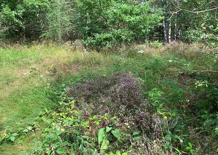 Huizefrankenau Nyaraló *