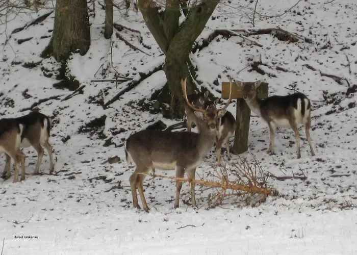 Nyaraló Huizefrankenau *